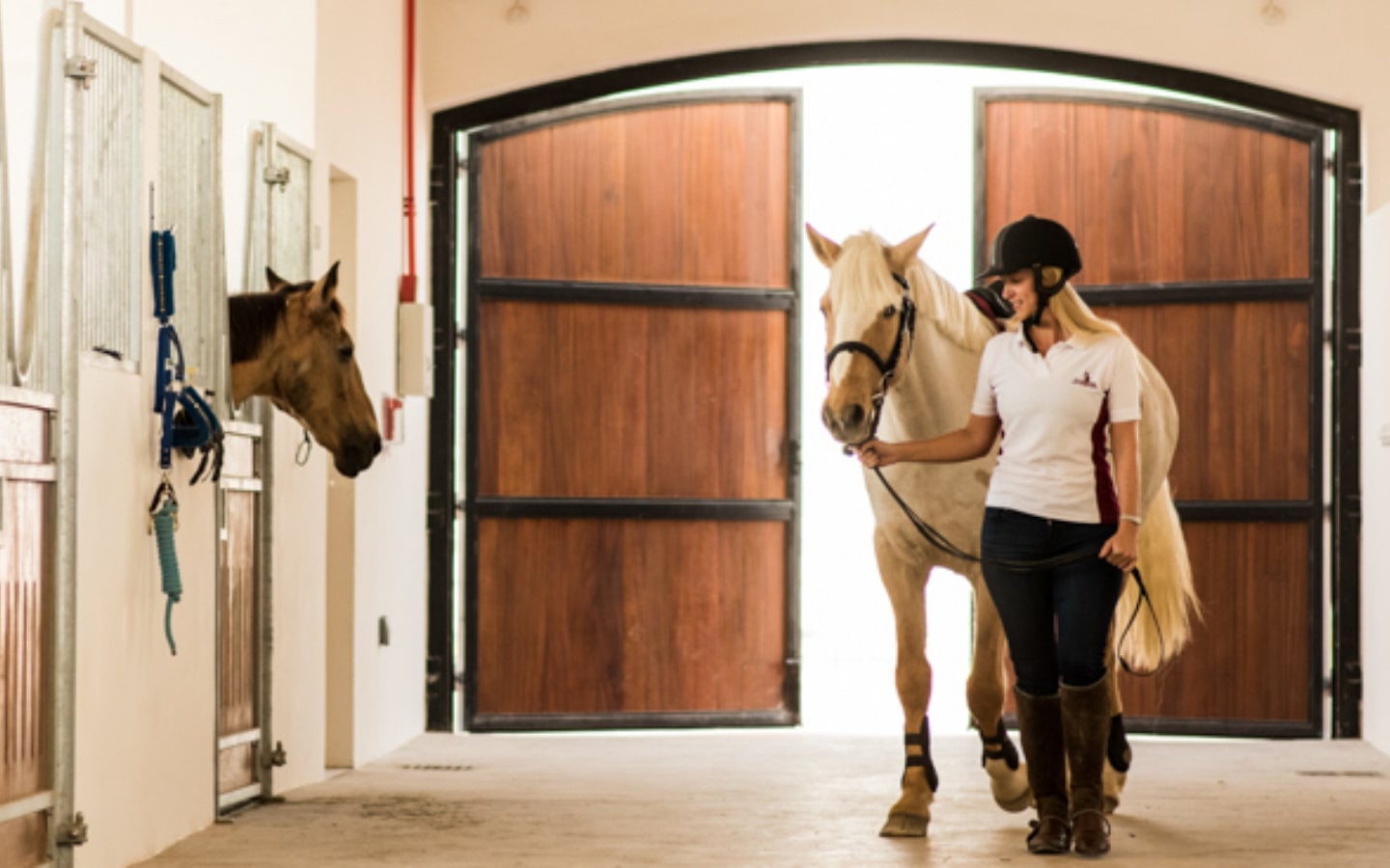 Industrial Land for Lease in Dubai | Prime Horse & Camel Training Development Opportunity